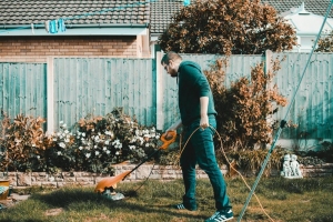 The Best Ideas for Creating a Stylish and Functional Yard The Best Ideas for Creating a Stylish and Functional Yard